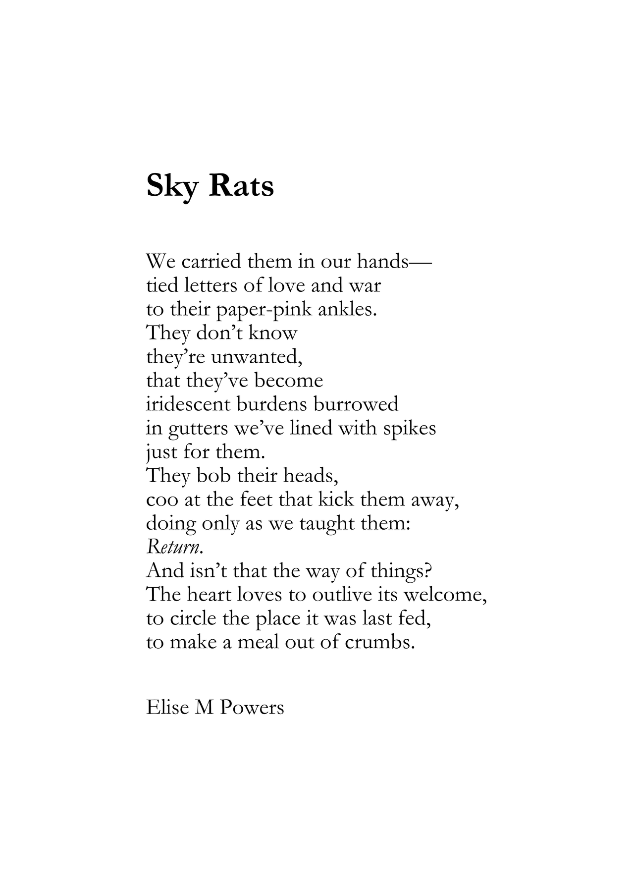 Sky Rats